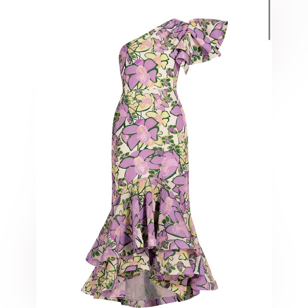 La Pise La Grama, Corocora Floral Ruffled Maxi Dress
